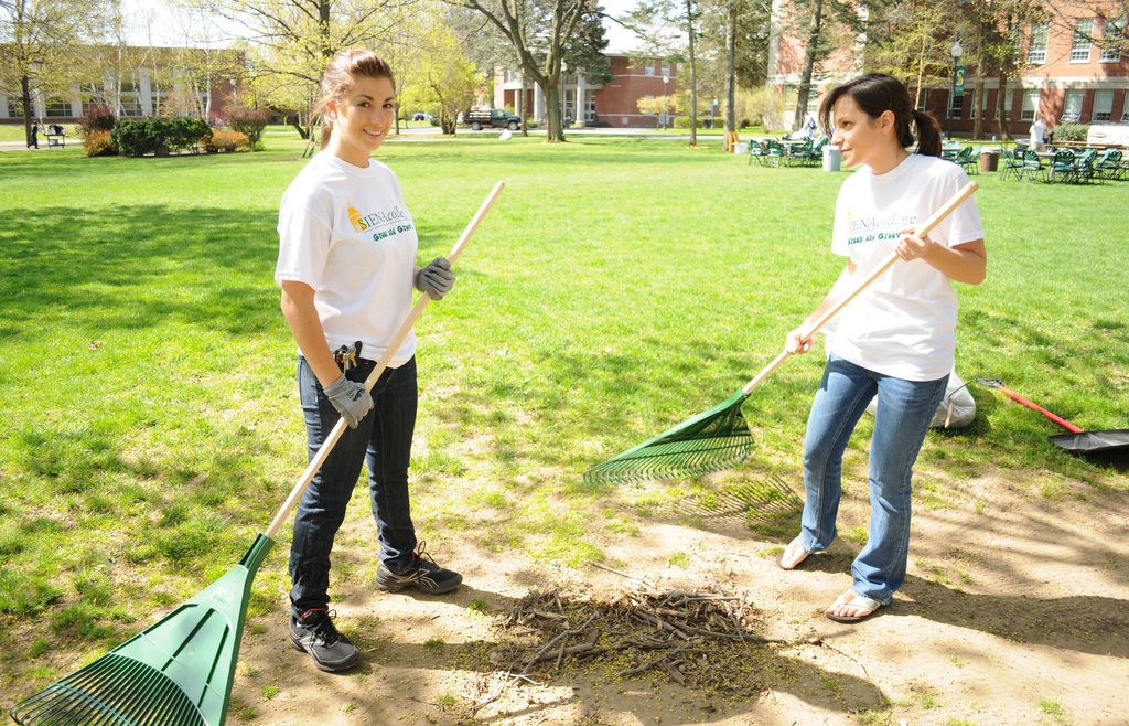 Cleaning Garden