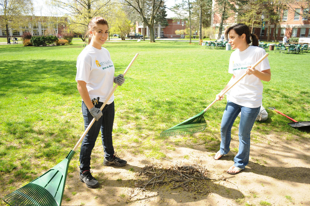 Cleaning Garden